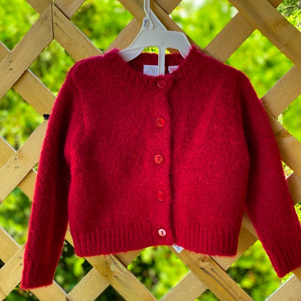 Zara Cardigan